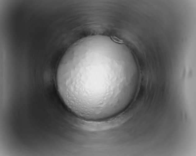 X0000089890034200707121839