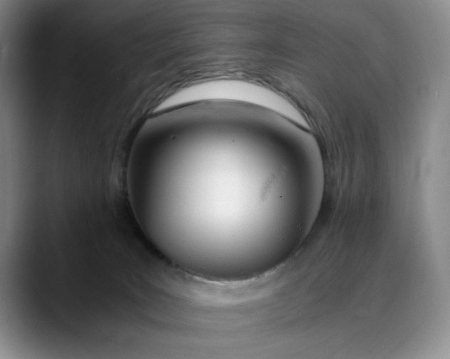 X0000089890035200707121839