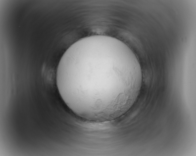 X0000089890036200707121839