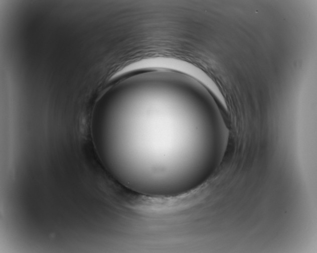 X0000089890037200707121839