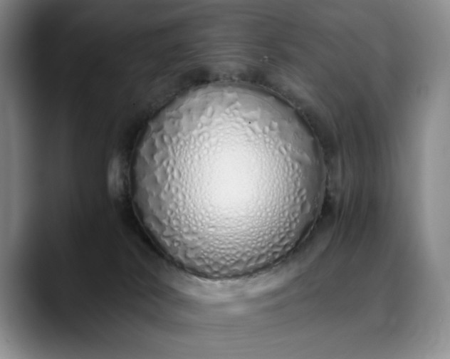 X0000089890038200707121839