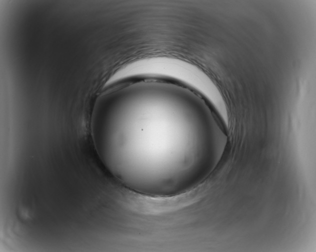 X0000089890039200707121839