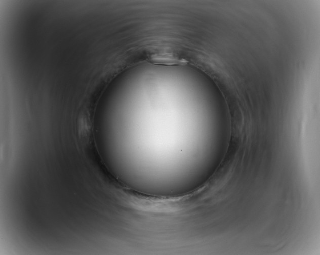 X0000089890040200707121839