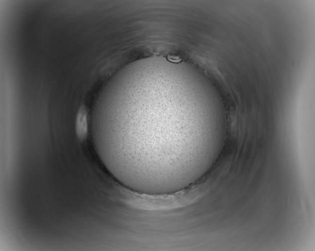 X0000089890042200707121839