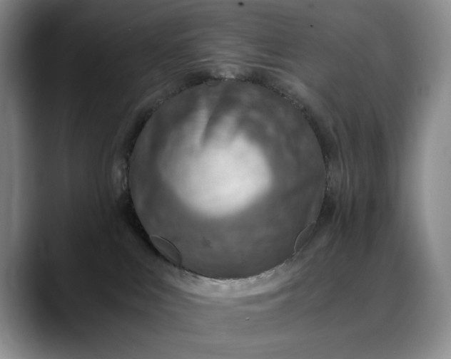 X0000089890043200707121839