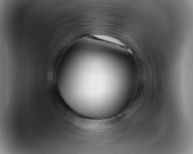 X0000089890044200707121839