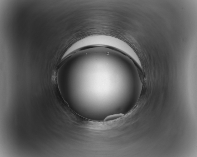 X0000089890045200707121839