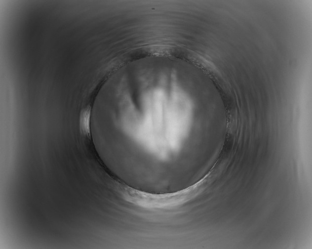 X0000089890047200707121839