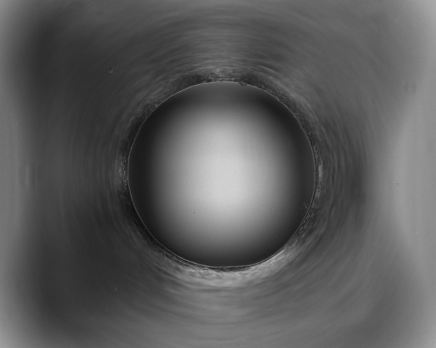 X0000089890048200707121839