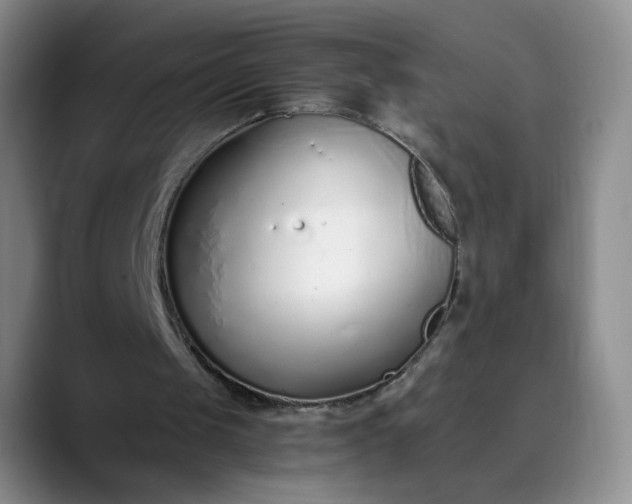 X0000089890049200707121838