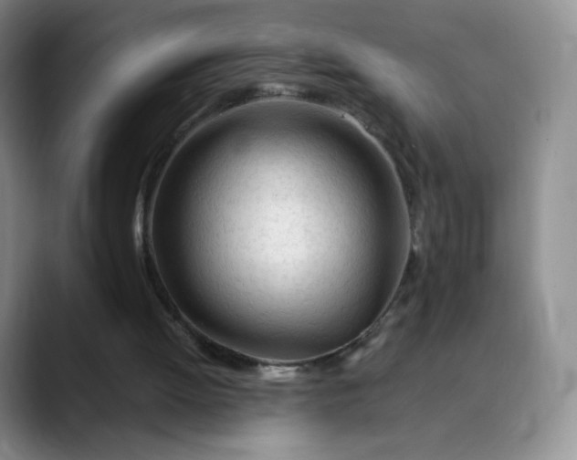 X0000089890052200707121838