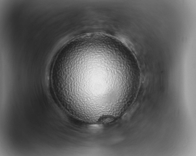 X0000089890053200707121838