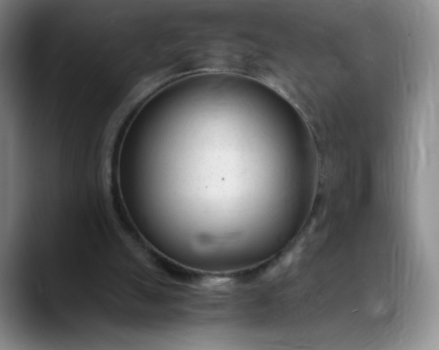 X0000089890055200707121838