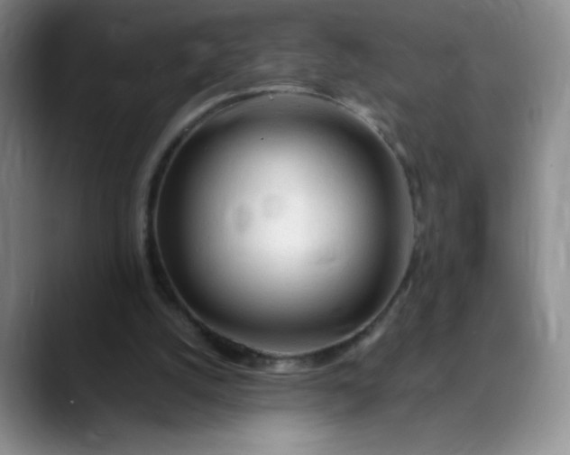 X0000089890056200707121838