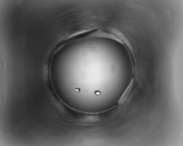 X0000089890057200707121838