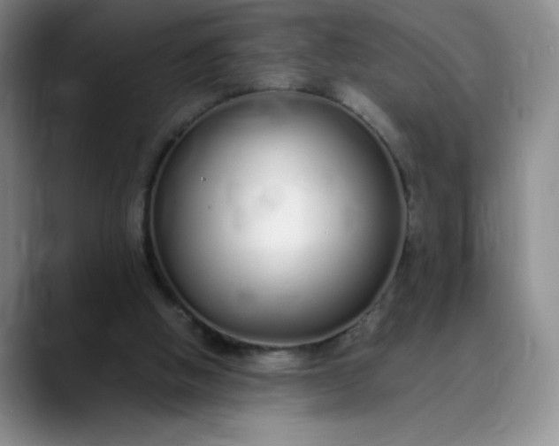 X0000089890058200707121838