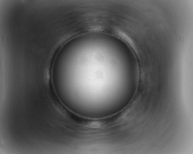 X0000089890059200707121838