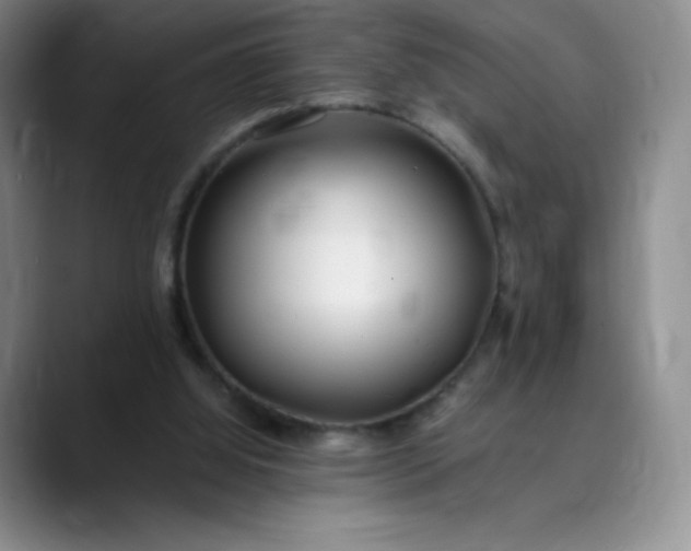 X0000089890060200707121838