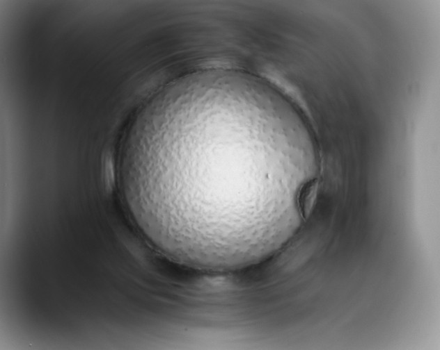 X0000089890061200707121838