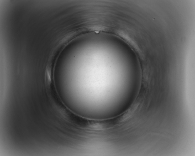 X0000089890062200707121838