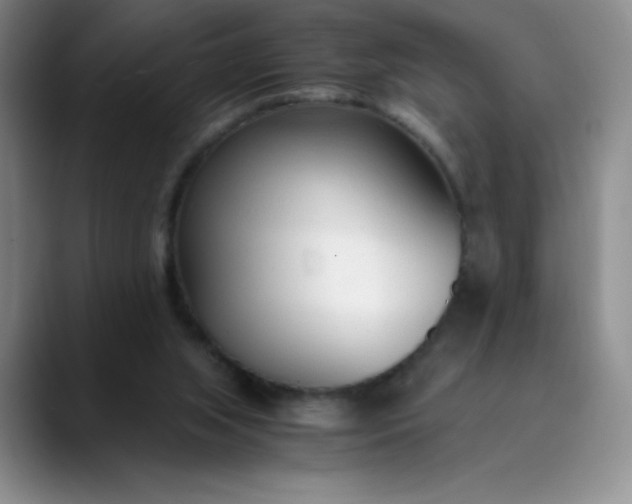 X0000089890063200707121838