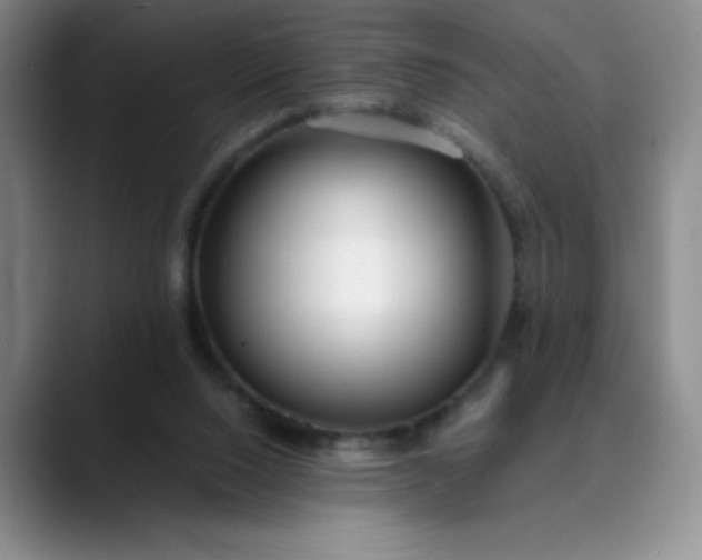 X0000089890064200707121838