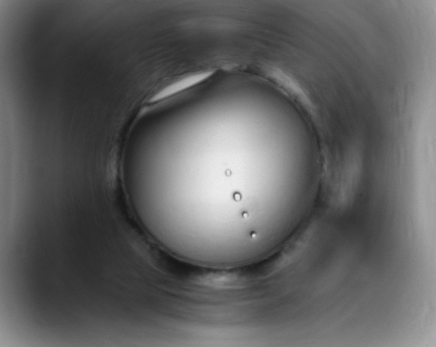 X0000089890065200707121838