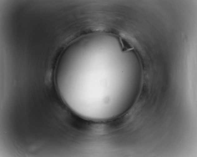 X0000089890066200707121838