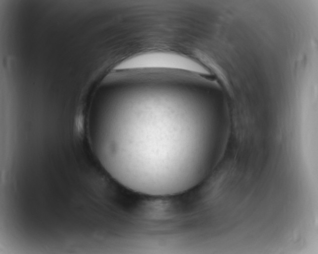 X0000089890067200707121838