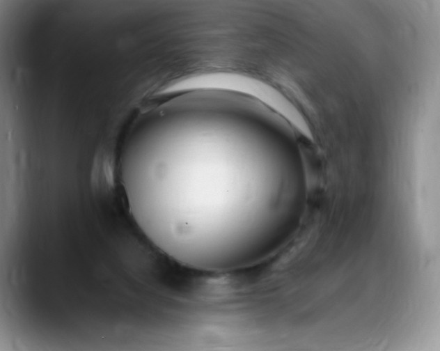 X0000089890068200707121838