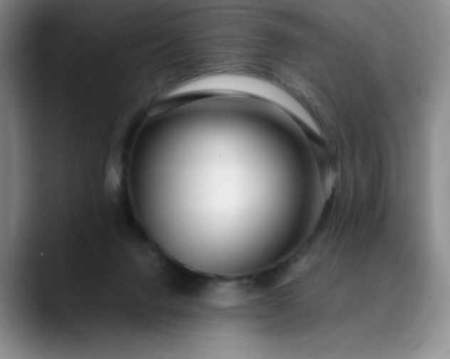 X0000089890072200707121838