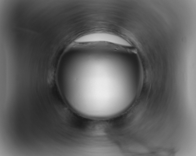 X0000089890073200707121838