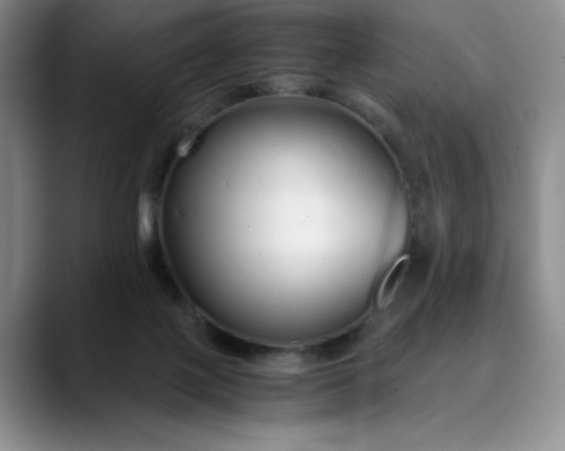 X0000089890075200707121839