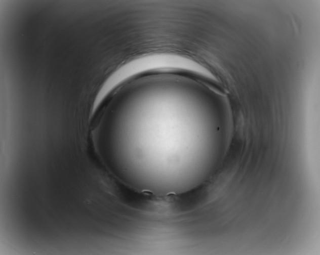 X0000089890076200707121839