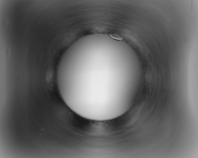 X0000089890079200707121839