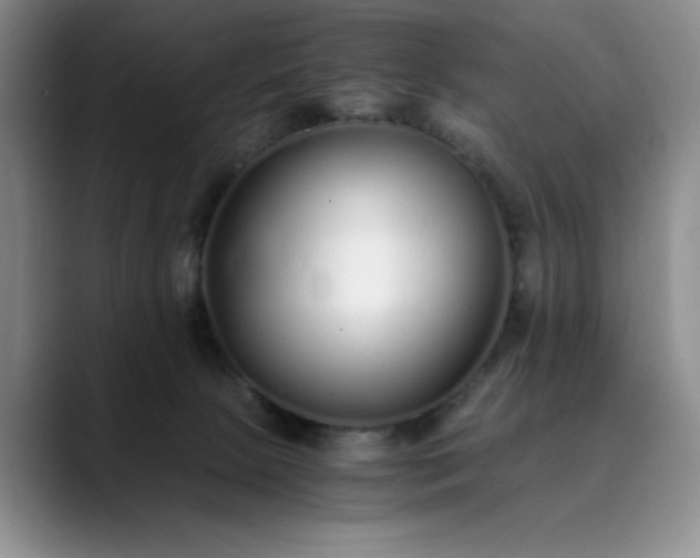 X0000089890081200707121839