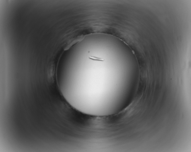 X0000089890082200707121839