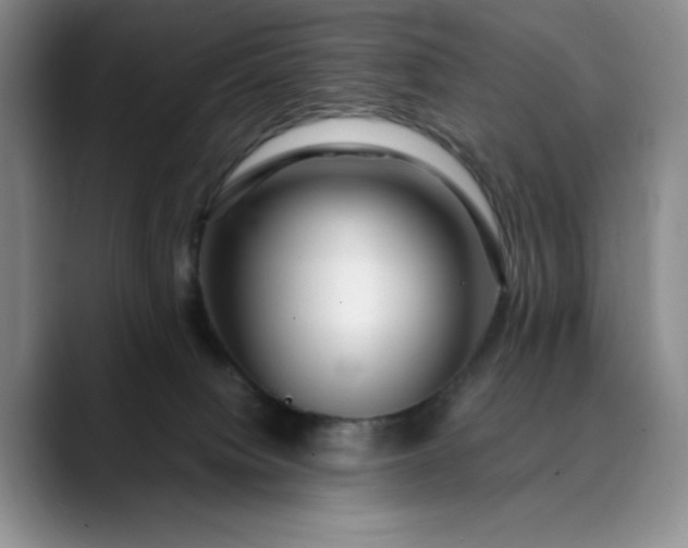 X0000089890084200707121839