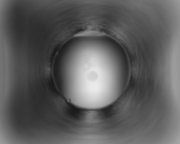 X0000089890085200707121839