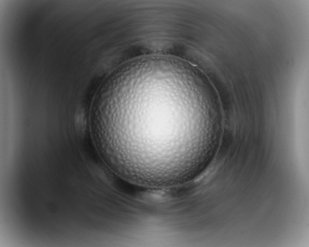 X0000089890086200707121839