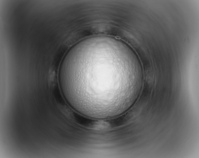 X0000089890087200707121839