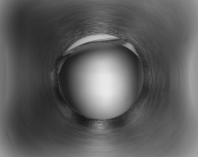 X0000089890088200707121839