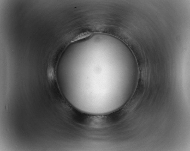 X0000089890089200707121839