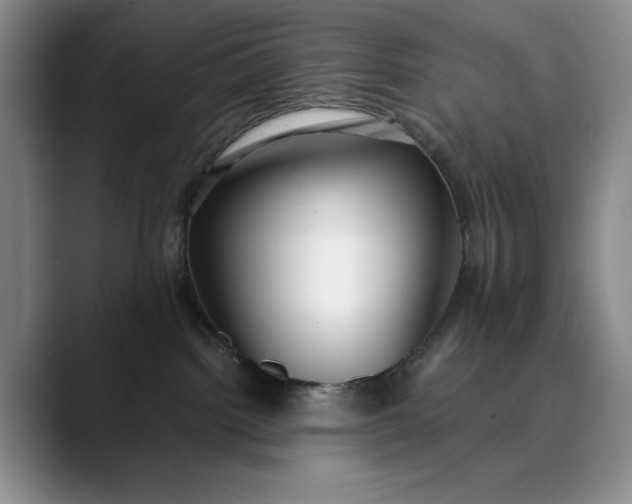 X0000089890092200707121839