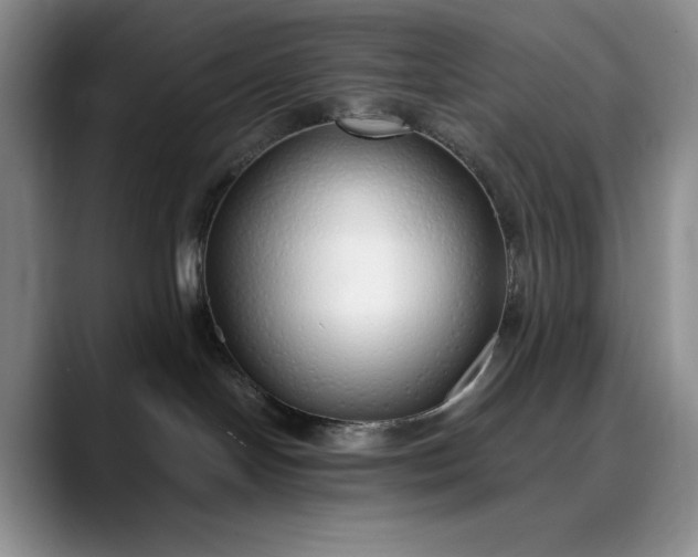 X0000089890094200707121839