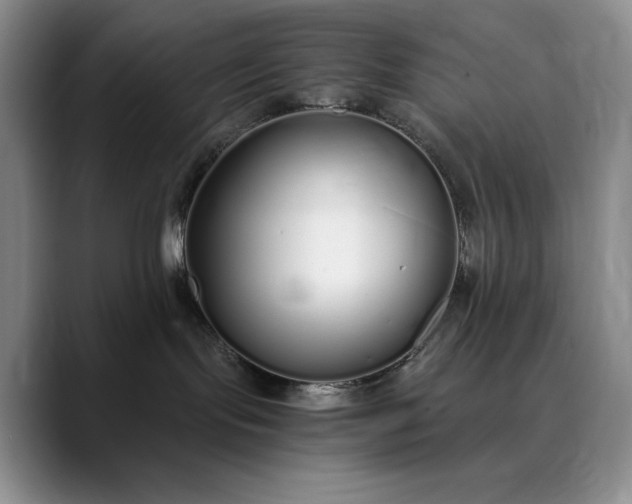 X0000089890095200707121839