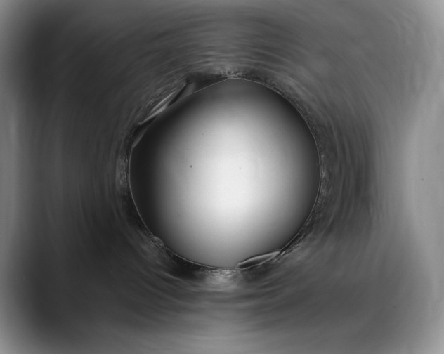 X0000089890096200707121839