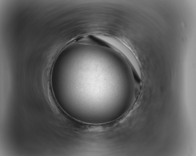 X0000089890097200707121838