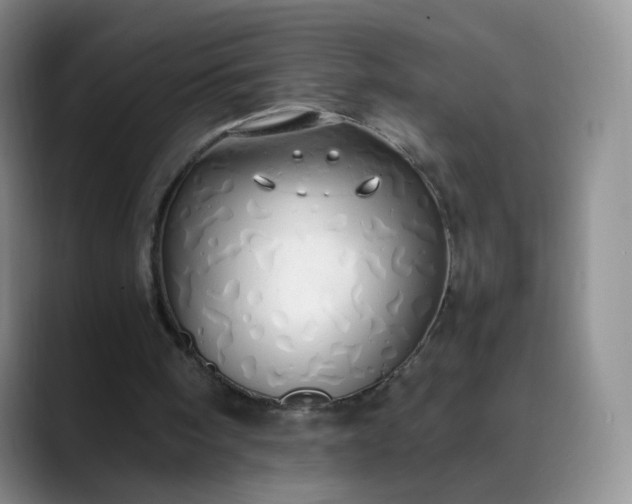 X0000089890098200707121838