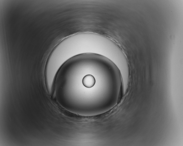 X0000089890099200707121838